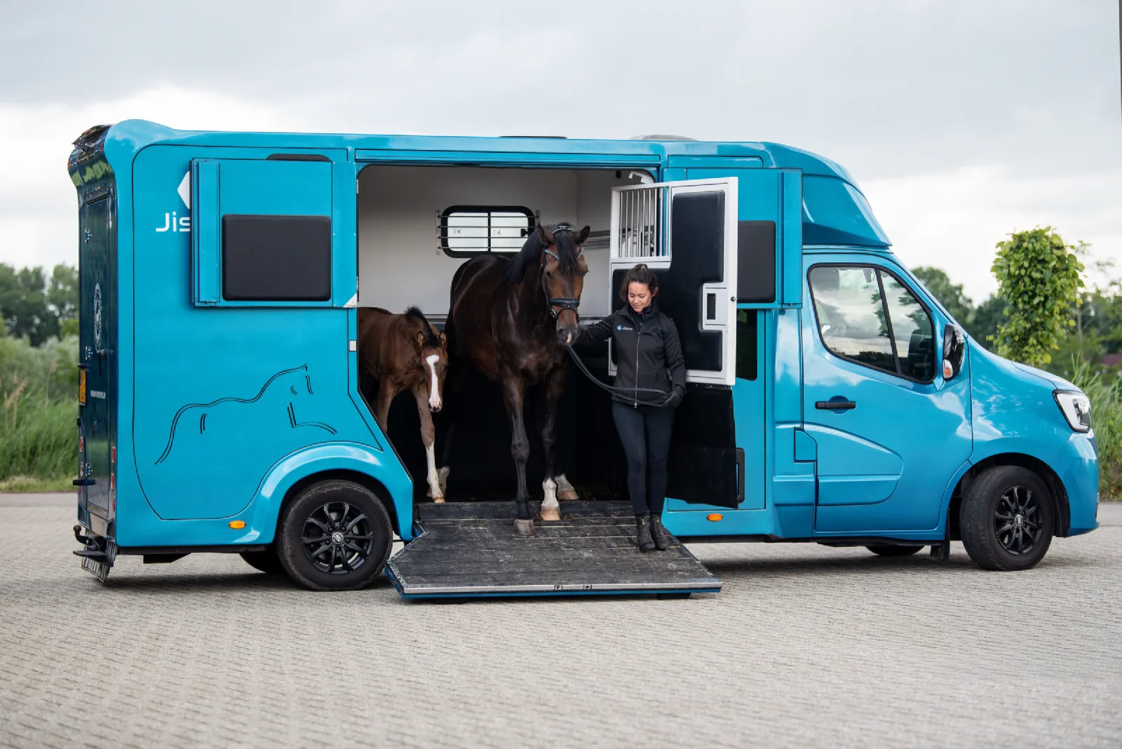 Merrie met veulen in de blauwe paardenvrachtwagen van DMV EquiTransport, laadklep neer